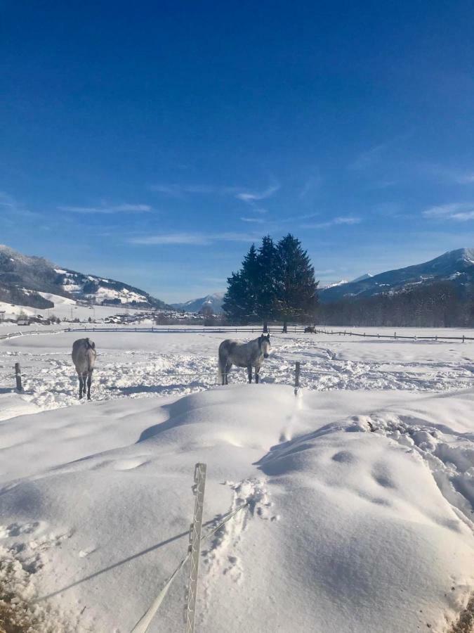 Traumhafte Wohnung Auf Pferde Ranch Aich  Extérieur photo