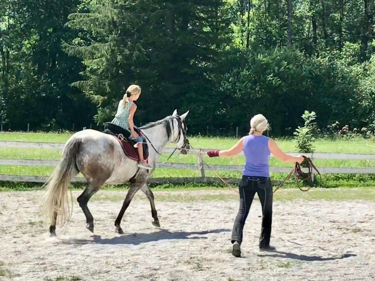 Traumhafte Wohnung Auf Pferde Ranch Aich  Extérieur photo